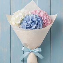 Букет цветов из:  Гортензия в Акъяр