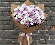 Букет цветов из:  Хризантемы #REPLACE_PRED# Акъяр