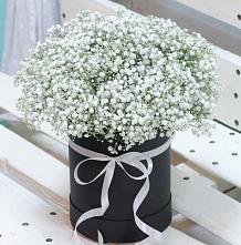 Цветочная композиция из Гипсофила в шляпной коробке #REPLACE_PRED# Акъяр