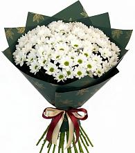 Букет цветов из:  Хризантемы в Акъяр