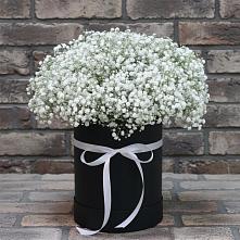 Цветочная композиция из Гипсофила в шляпной коробке #REPLACE_PRED# Акъяр