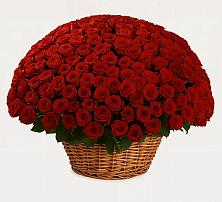 Премиум букет из: Розы в Акъяр