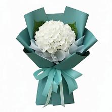 Букет цветов из:  Гортензия в Акъяр